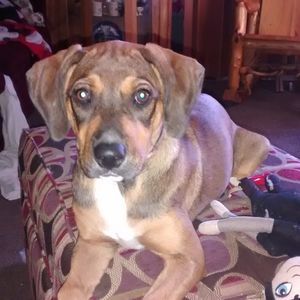 Meet your Posher, Tracy